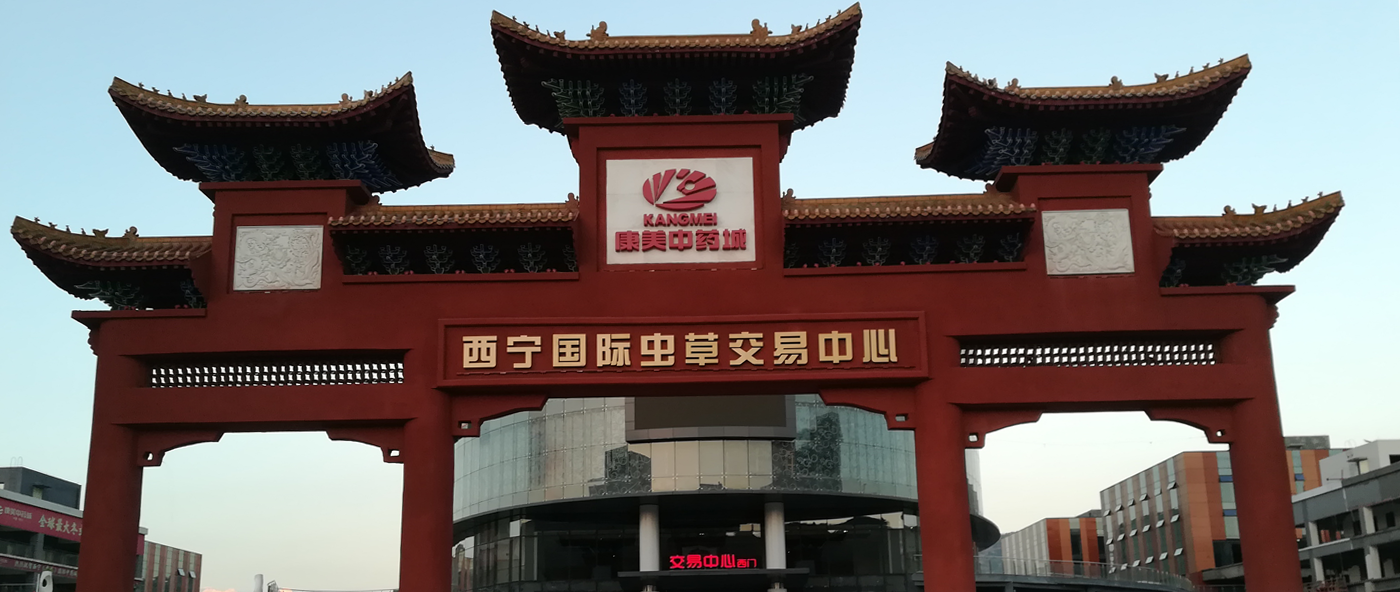 康美中药城LED蜜柚MV在线观看